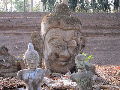 Wat Umong Chiang Mai buddha head